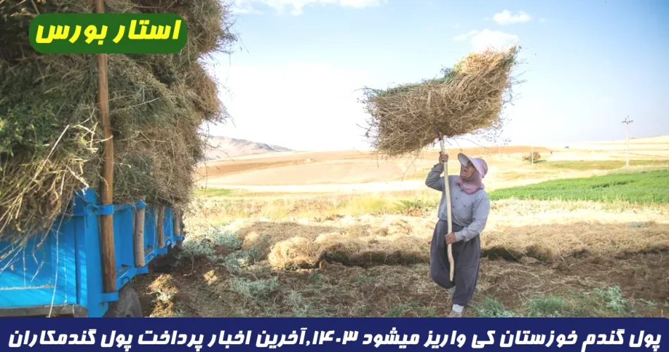 پول گندم خوزستان کی واریز میشود ۱۴۰۳,آخرین اخبار پرداخت پول گندمکاران خوزستان ۱۴۰۳